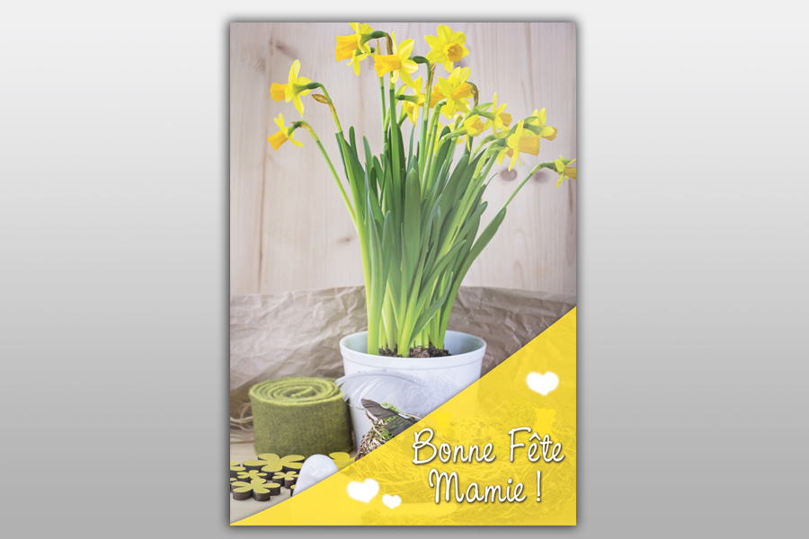 Affiches pour Métiers de la Fleur