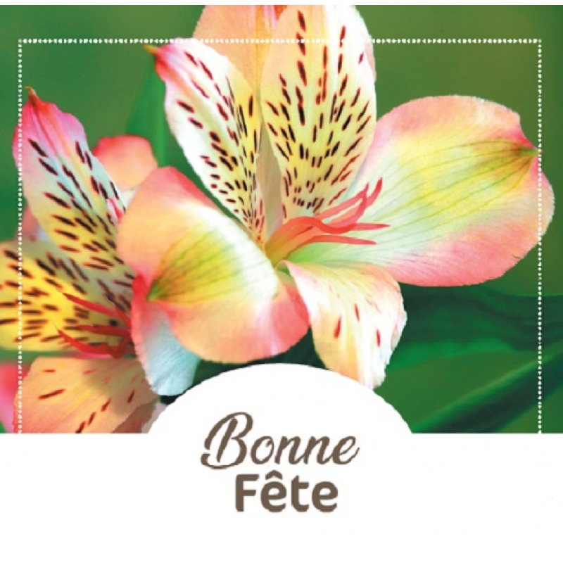 Cartes à Thème Bonne Fête - Bonne Fête